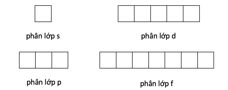 các phân lớp olm